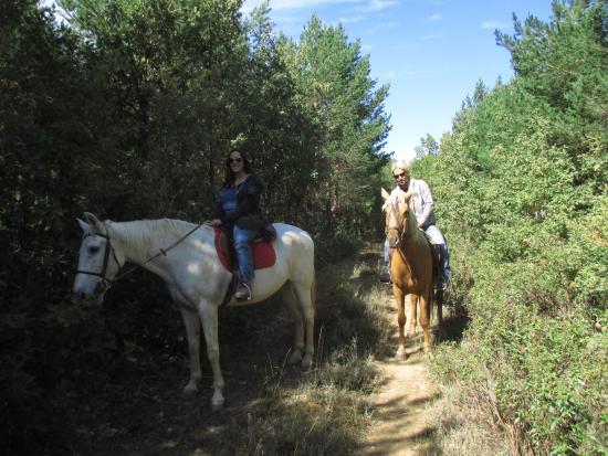 Caballos la Vereda