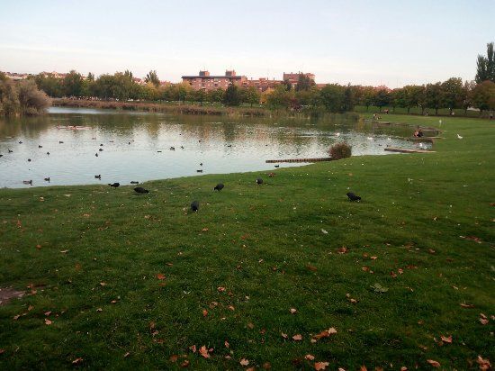 Entorno del Lago