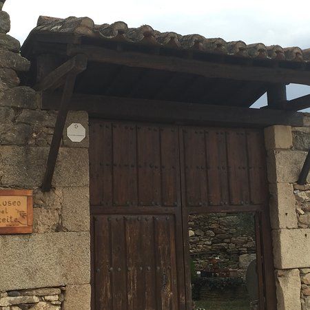 Museo del Aceite