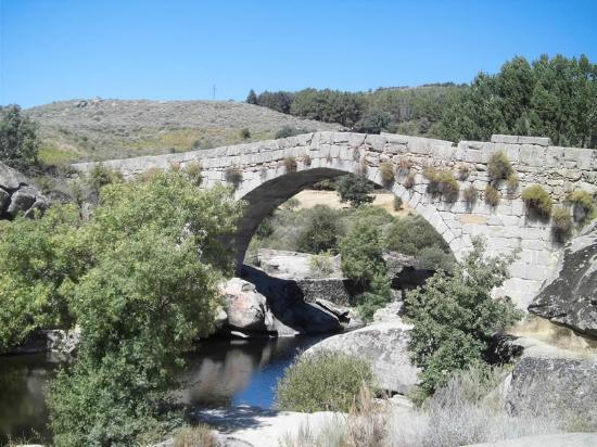 el Pinar de Hoyocasero
