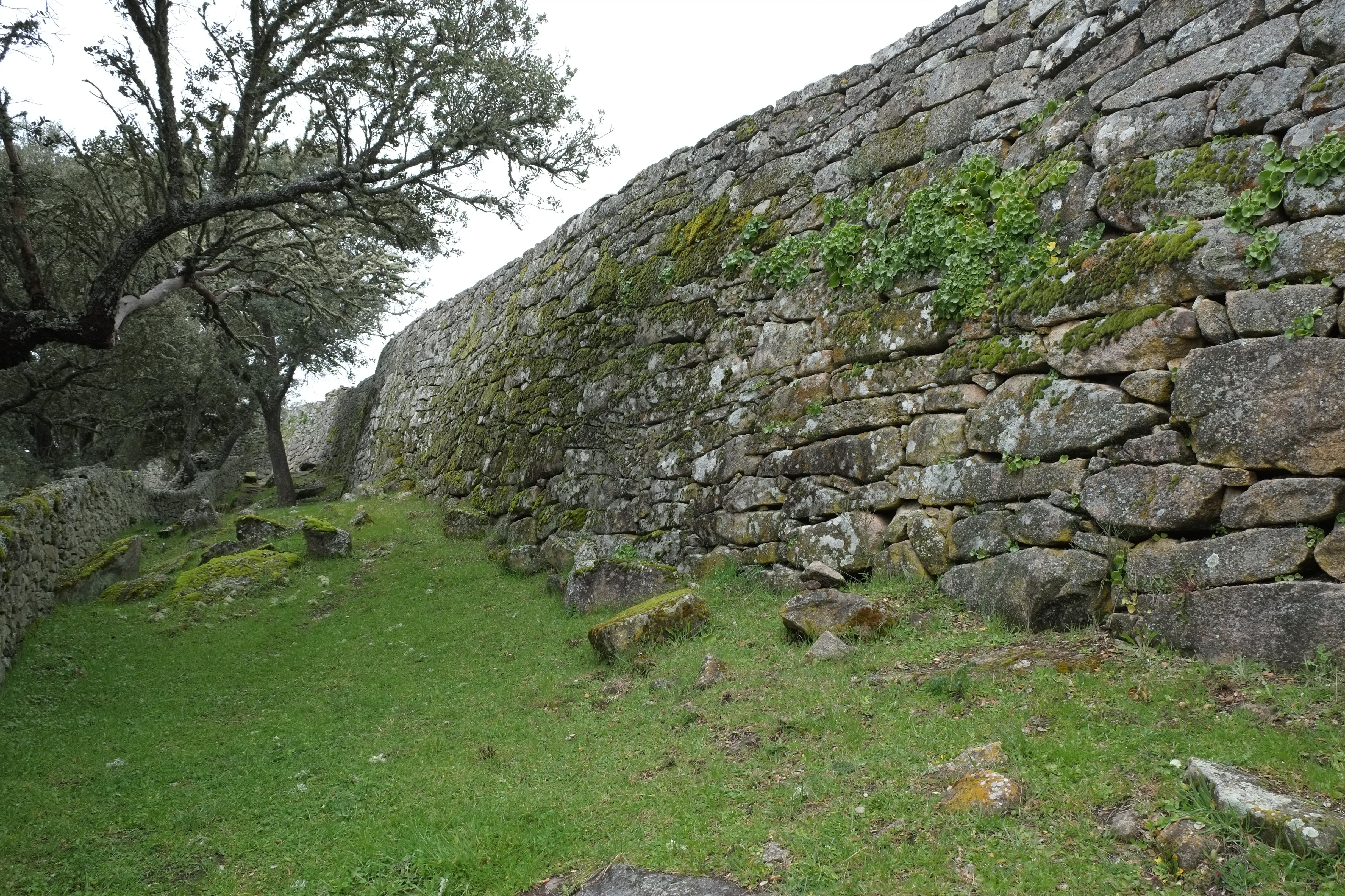 Castro Veton de Yecla la Vieja