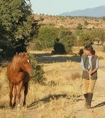 el Outback Spain